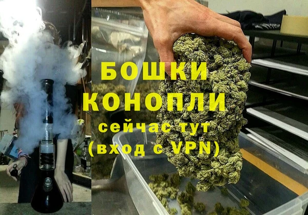 ПСИЛОЦИБИНОВЫЕ ГРИБЫ Новокубанск