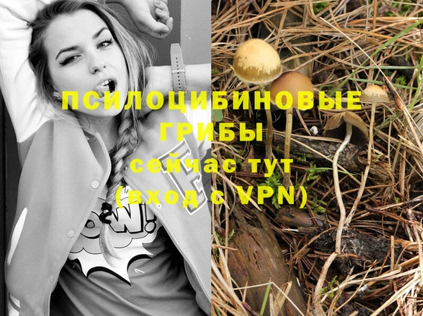 а пвп мука Новодвинск