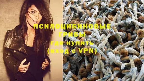 скорость Новозыбков