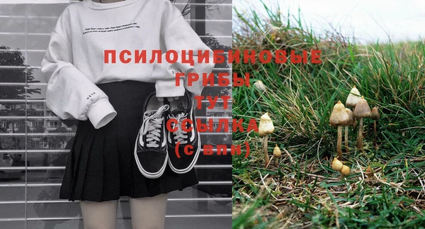 ПСИЛОЦИБИНОВЫЕ ГРИБЫ Новокубанск