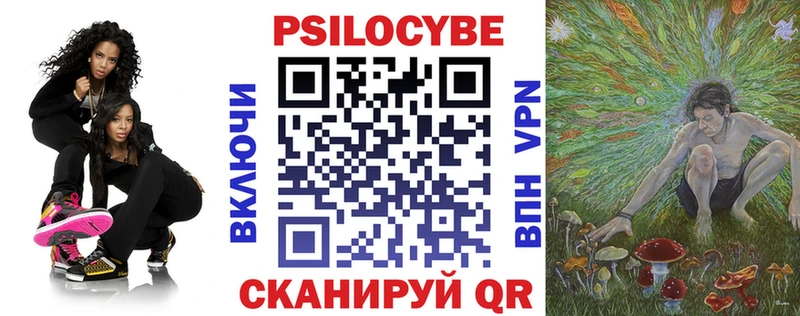 Псилоцибиновые грибы Psilocybine cubensis  Богучар 